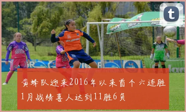 黄蜂队迎来2016年以来首个六连胜1月战绩喜人达到11胜6负